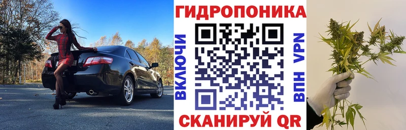 Конопля сатива Апрелевка